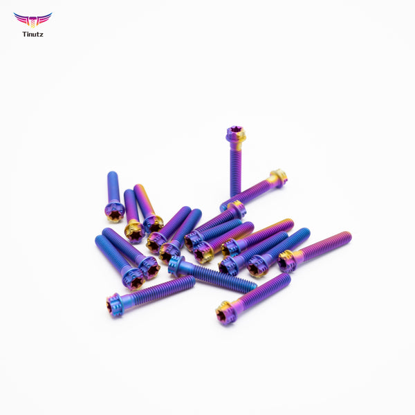 Torx Gr5 titanium bolts for motorcycle